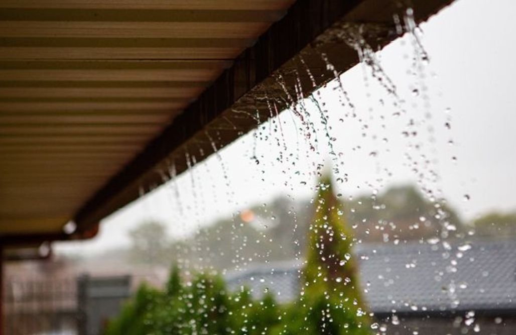 Dripping Water or Active Leaks