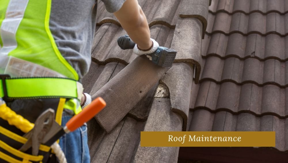 Roof Maintenance