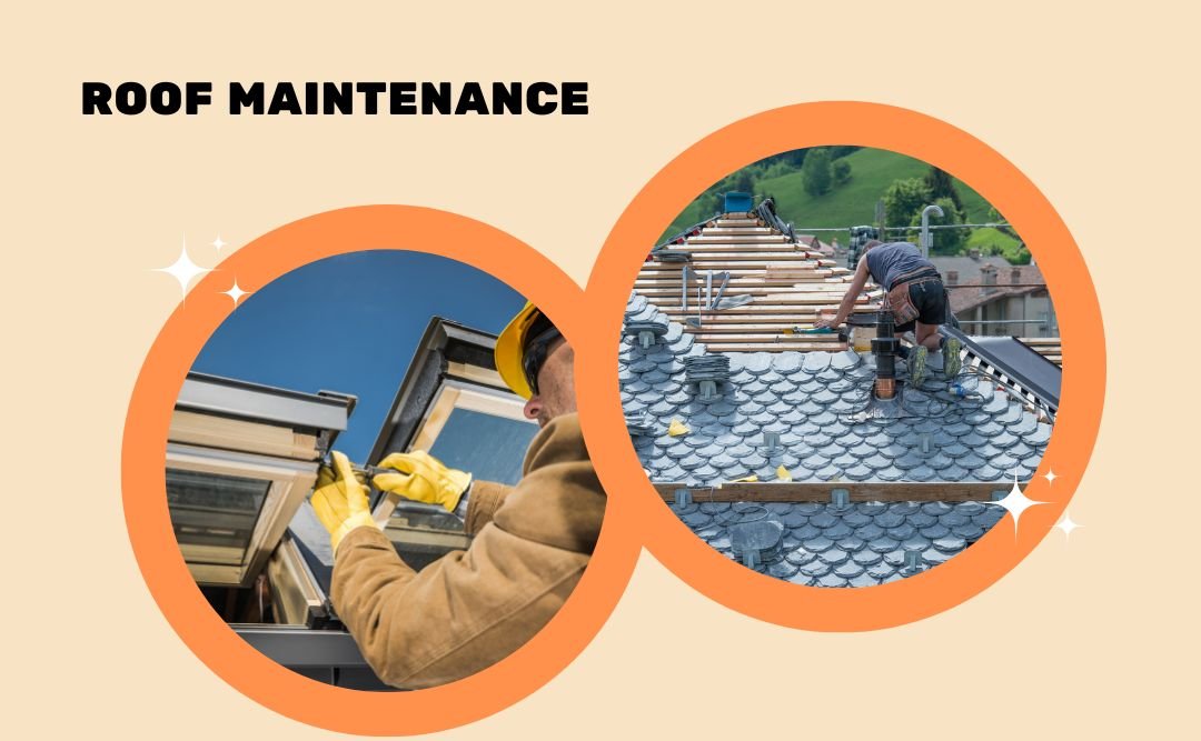 Roof Maintenance Roof Maintenance