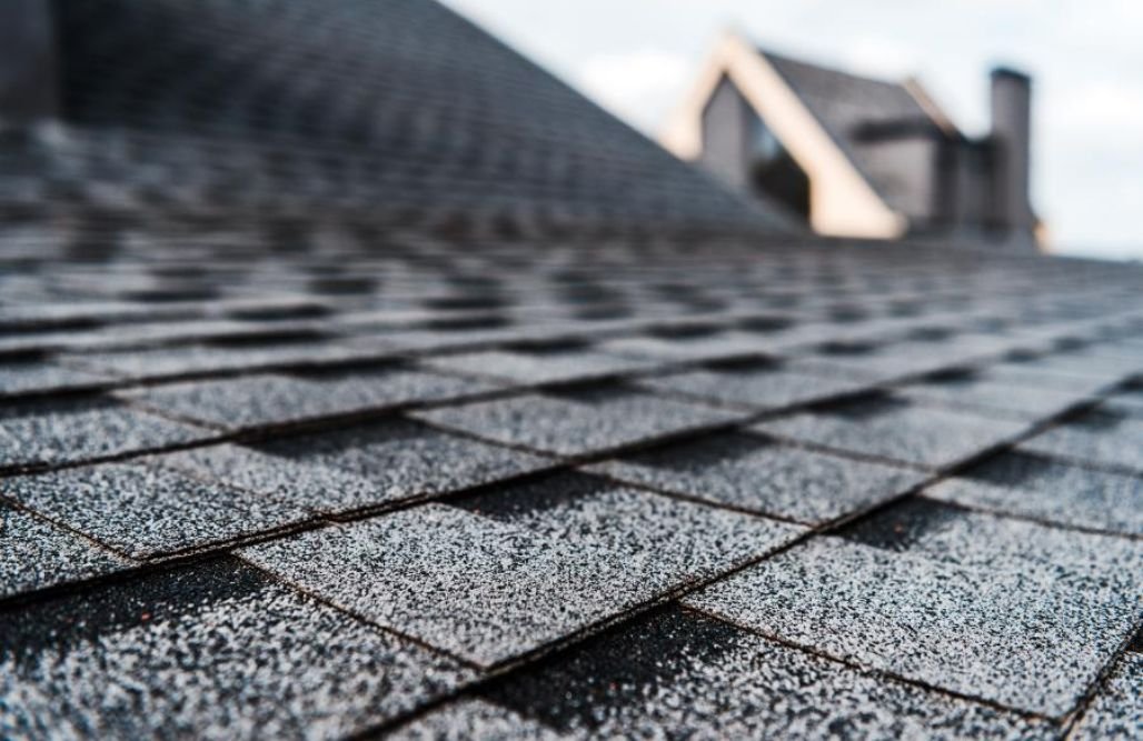 Shingles at The Microscopic Level