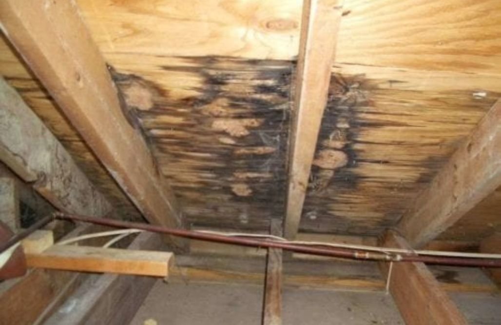 Water Stains or Leaks