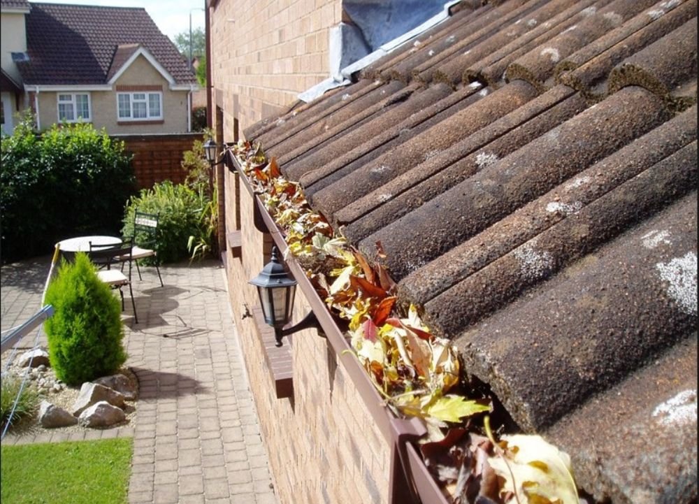 Common Gutter Problems