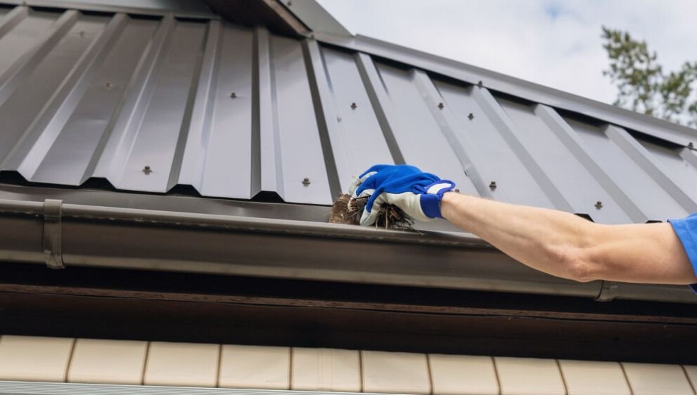 Metal Roofing Maintenance and Care