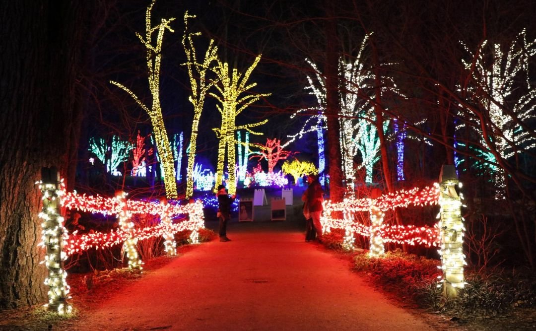 Paint and Enjoy at The Vineyard at Hershey “Winter lights”