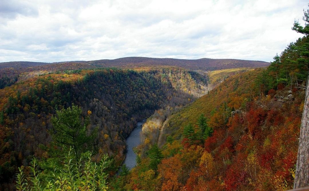 Pine Creek Gorge