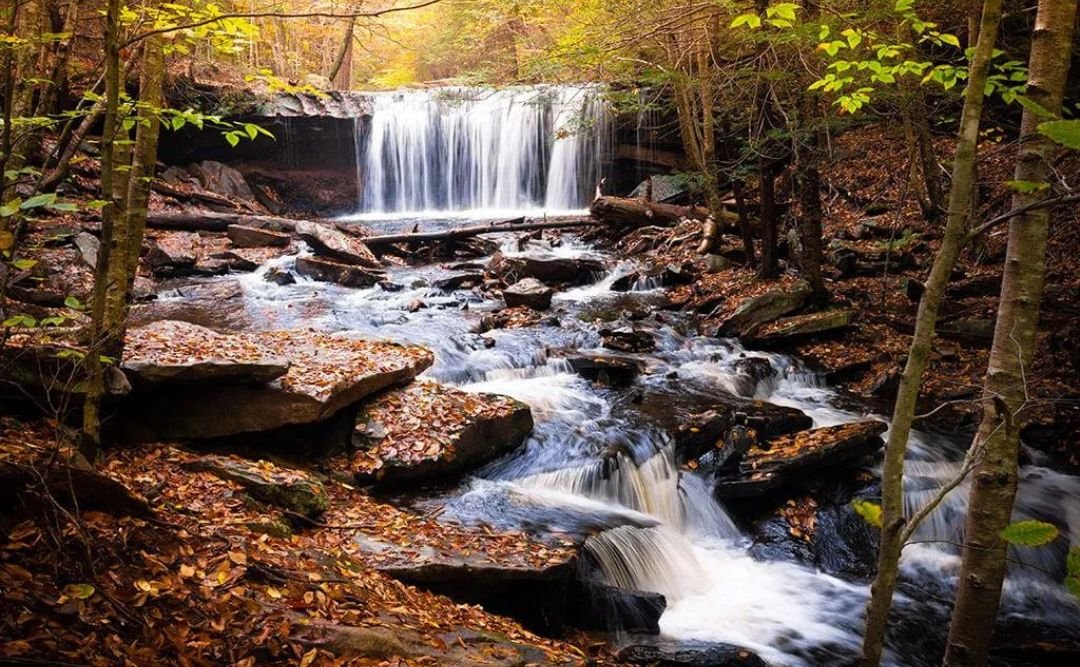 Ricketts Glen State Park